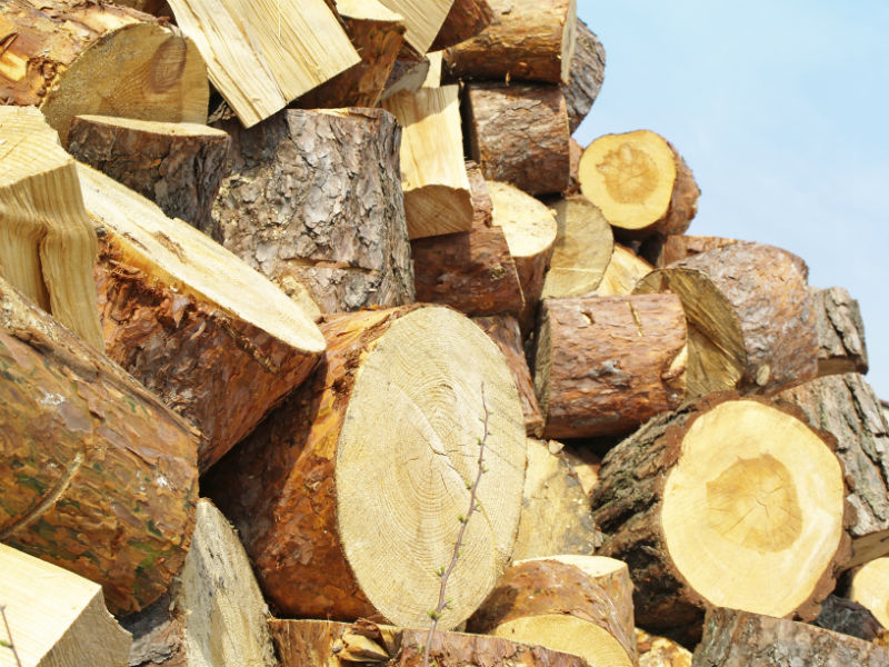 Season your winter firewood this summer